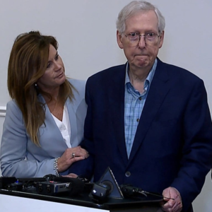 Sen. Mitch McConnell freezes while talking to the press.